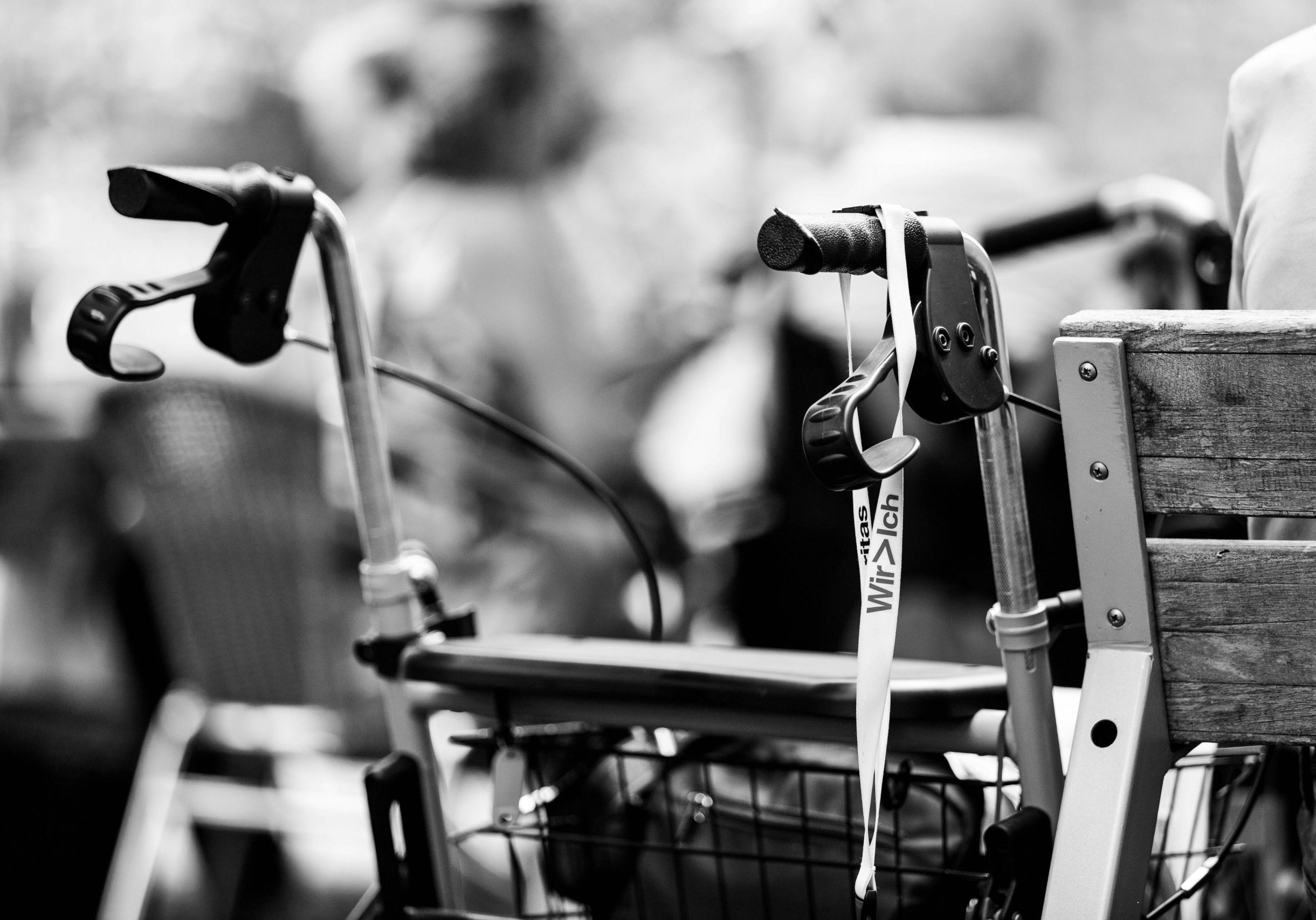 benjamin-brunner-PzSaJTDpcUw-unsplash benjamin-brunner-PzSaJTDpcUw-unsplash